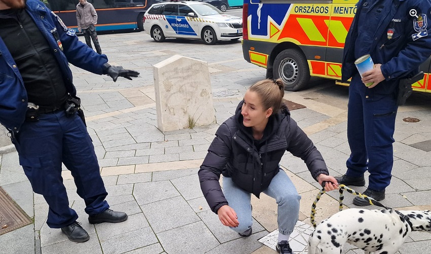 Az öngyilkosjelölt kutyája majdnem tömegkarambolt okozott az Erzsébet-hídnál